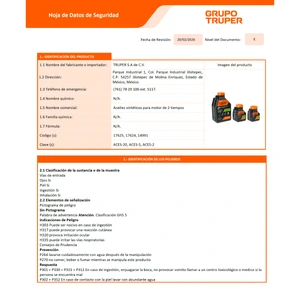 Expert Aceite sintético para motor de 2 tiempos, 60 ml
