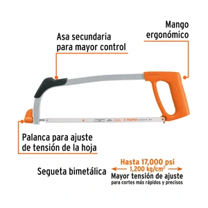 Arco 12