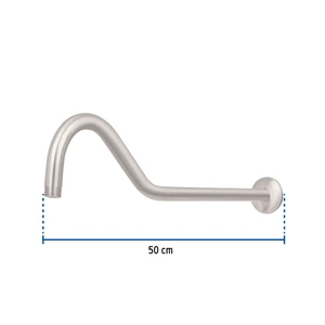 Foset Brazo y chapetón tipo gancho para regadera, 50 cm, satinado