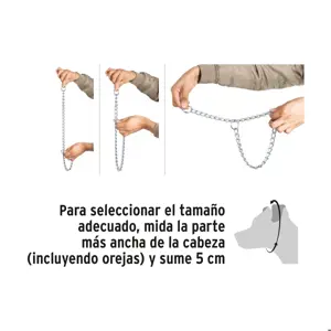 Fiero Collar de entrenamiento para perro, 45 cm, eslabón 2.5 mm