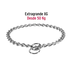 Fiero Collar de entrenamiento para perro, 60 cm, eslabón de 4 mm