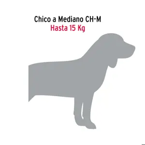 Correa de 1.2 m de paseo para perro, eslabón 3 mm, Fiero