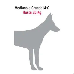 Correa de 1.2 m de paseo para perro, eslabón 4 mm, Fiero