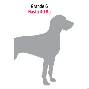 Correa de 1.2 m de paseo para perro, eslabón 4.5 mm, Fiero
