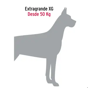 Correa de 1.2 m de paseo para perro, eslabón 5 mm, Fiero