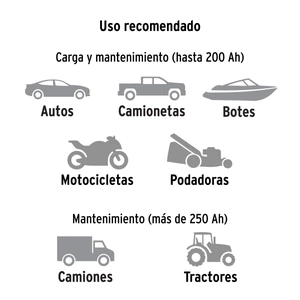 Cargador de baterías 20 A, arrancador de 100A, 12V/24V