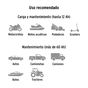 Cargador de 8 Amperes para baterías de 12V / 24V