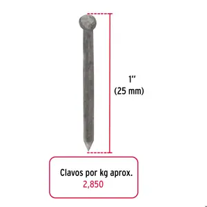 Fiero Bolsa con 1 kg de clavos alfilerillos de 1