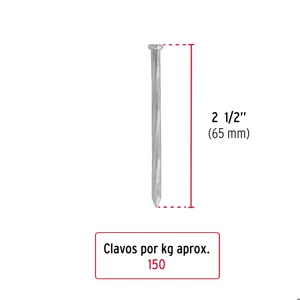 Fiero Bolsa con 1 kg de clavos para concreto galvanizados 2-1/2