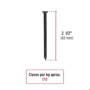 Bolsa con 1 kg de clavos para concreto negros 2-1/2