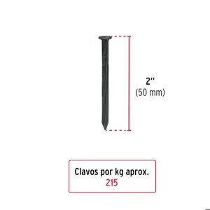 Bolsa con 1 kg de clavos para concreto negros 2