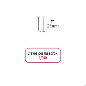 Bolsa con 1 kg de clavo estándar 1