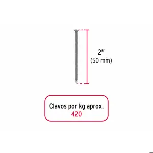 Bolsa con 1 kg de clavo estándar 2