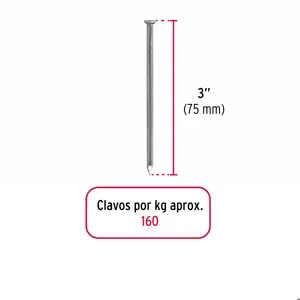 Bolsa con 1 kg de clavo estándar 3