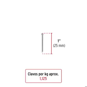 Bolsa con 1 kg de clavo estándar 1