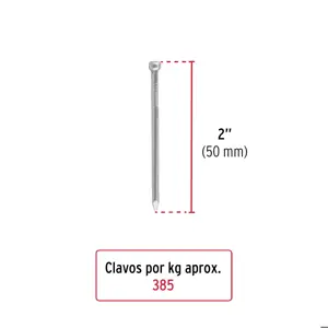 Bolsa con 1 kg de clavo estándar 2