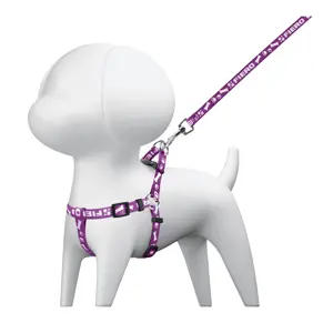 44294 / COPE-10 Correa con pechera para perro, 1 cm ancho, Fiero