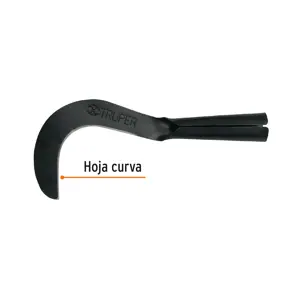 Cazanga 12
