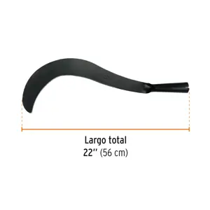 Cazanga 22