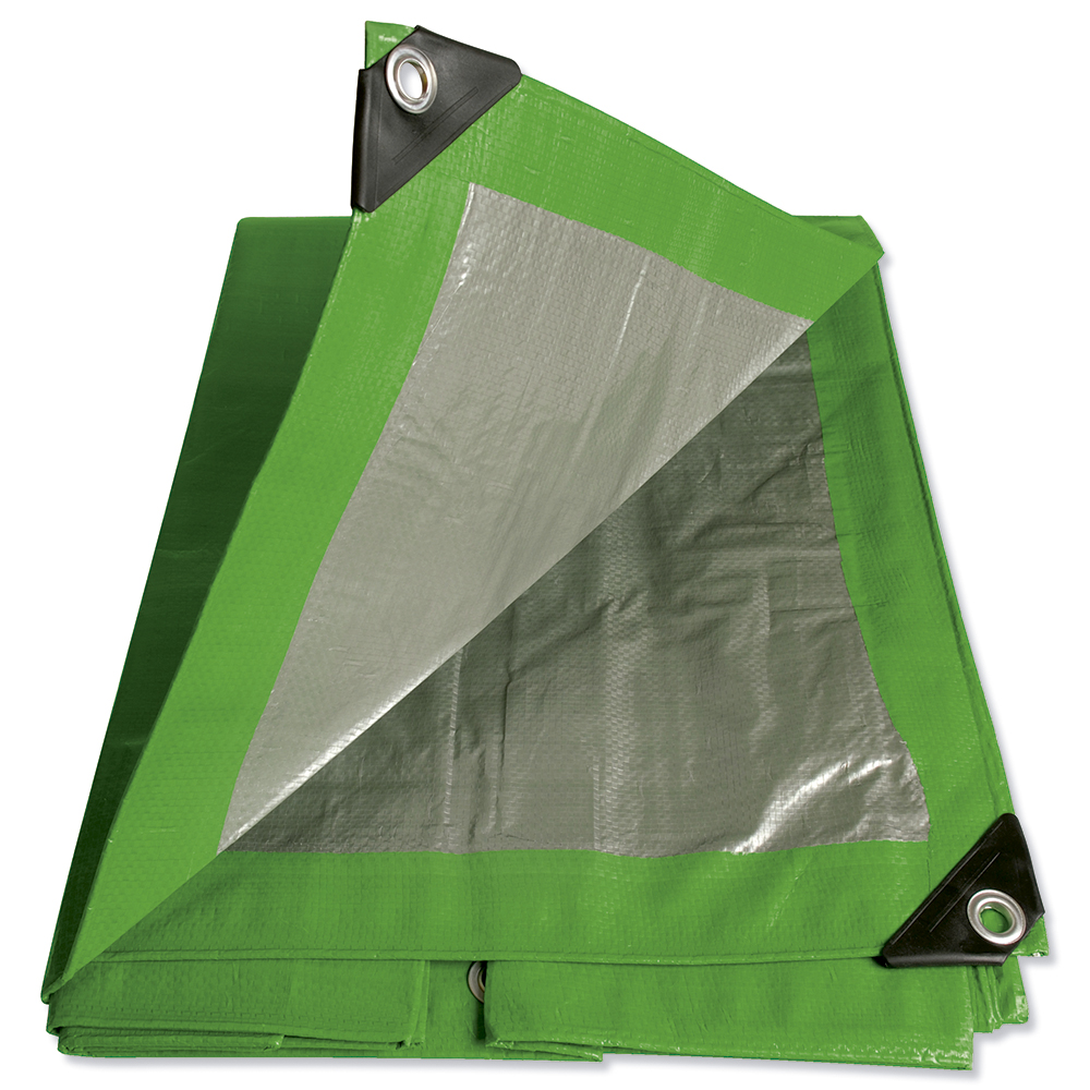 Foy-LE10X12V