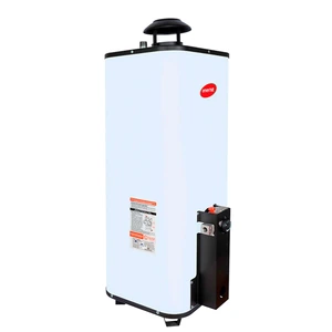 CALENTADOR PASO RR ENERHIT 12L. LP