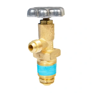 VALV. CARBURACION D/SERV. 2015 E50