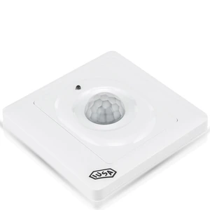 AE-  SENSOR DE MOVIMIENTO