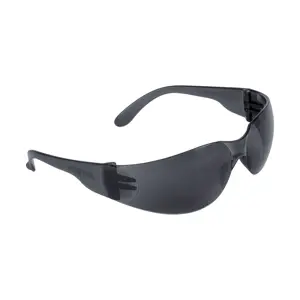 20402 / LEN-SN-P Lentes de seguridad grises, Pretul Lite