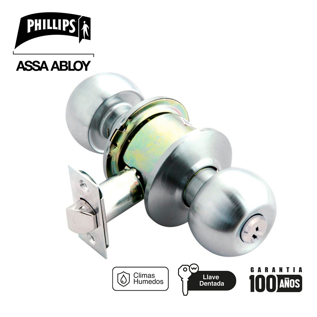 PERILLA GAMMA PRO SS CAJA