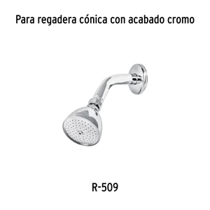 Regadera cónica metálica 2-1/2