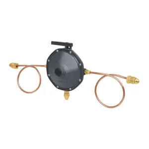 49226 / RG-200 Regulador de gas L.P. de 2 vías, Foset