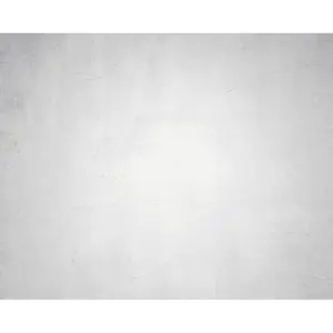 13875 / ROPI-910 Rodillo para pintar 9