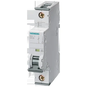 Siemens 5SY4110-7 SENTRON 5SY Disyuntor magnetotérmico de protección industrial 1P C10A