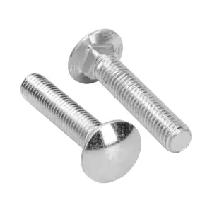 44749 / TORC-1/2X2-1/2 Bolsa con 20 tornillos 1/2