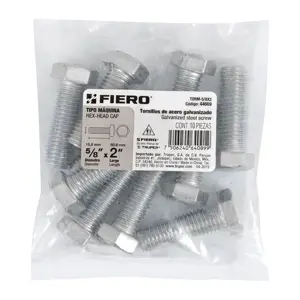Bolsa con 10 tornillos 5/8