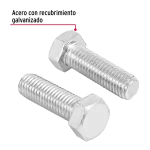 Bolsa con 10 tornillos 5/8