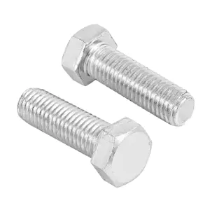 44669 / TORM-5/8X2 Bolsa con 10 tornillos 5/8