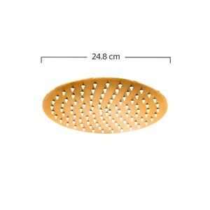 Regadera de plato redondo de 25 cm INOX Oro