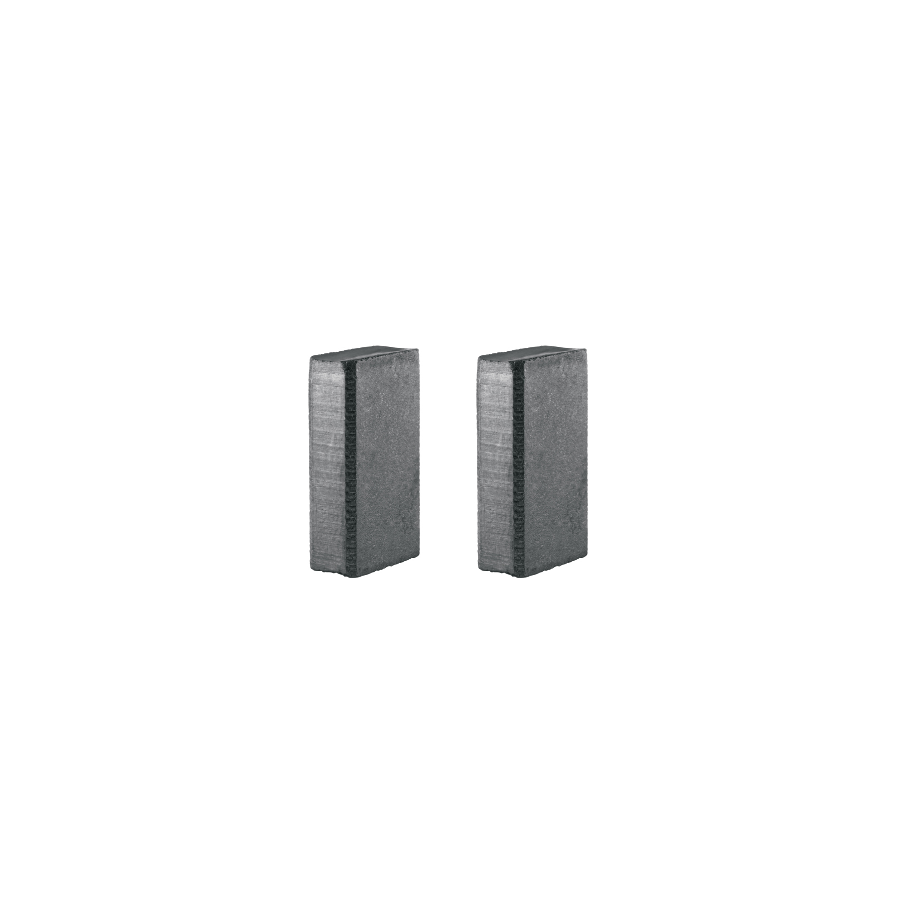 Bolsa con 2 carbones de repuesto para ROTO-1/2N9, TRUPER