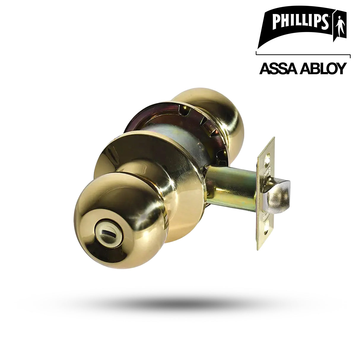 PHILLIPS - PERILLA CILINDRICA GAMMA BANOLB CAJA