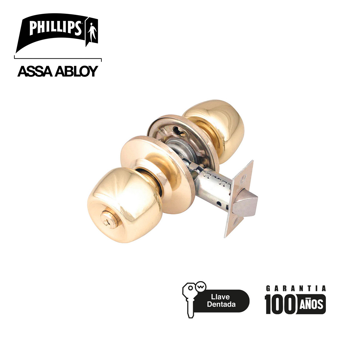 PHILLIPS - PERILLA CILINDRICA BRAND Y WINE BANO SS BLISTER