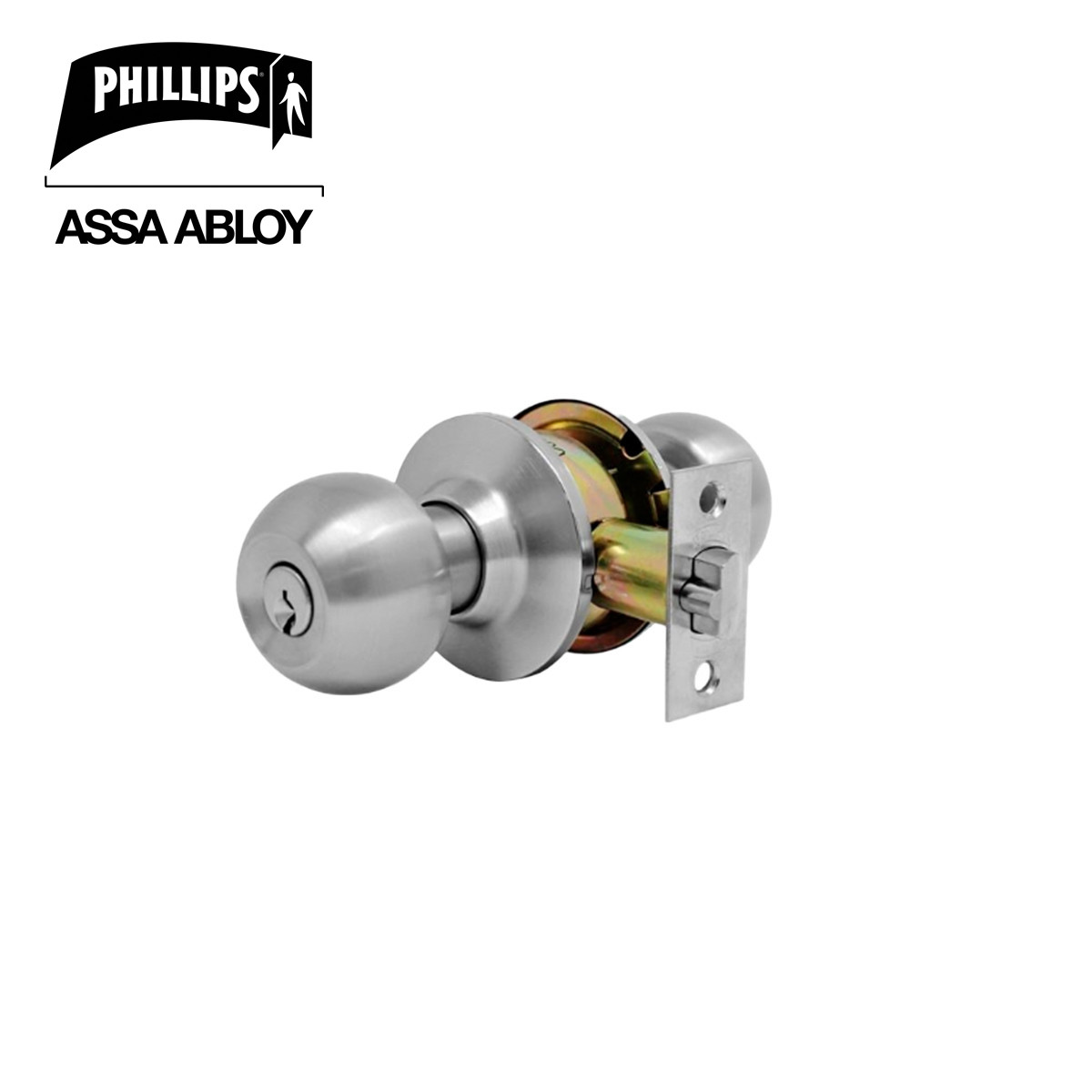 PHILLIPS - PERILLA CILINDRICA GAMMA REC SS BLISTER