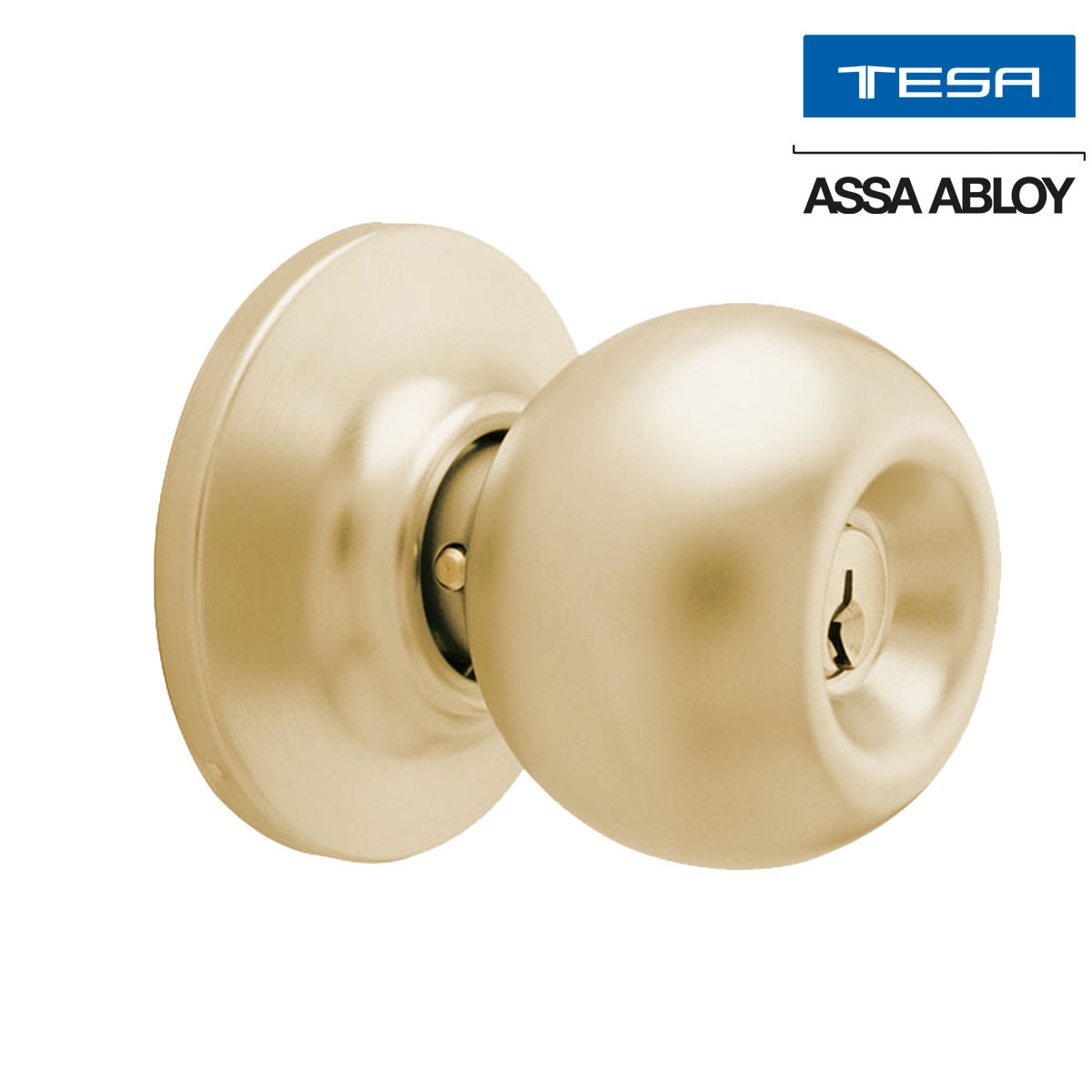 TESA - POMO MASTER SIN UL GRADO 2 EN MECANISMO 3500 REFORZADO USOS MULTIPLES LATON BRILLANTE