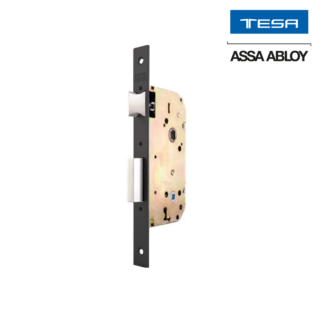 TESA - MECANISMO BANO 13458 AI S/CILS STEEL WITHOUT CYL