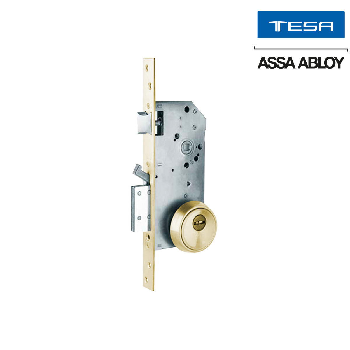 TESA - SET MECÁNISMO R200 CILINDRO T60 LATÓN PULIDO