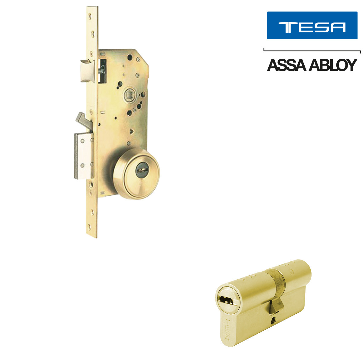 TESA - MECANISMO R200 CON CILINDRO T80 LATON LL MTO (MAKE TO ORDER)