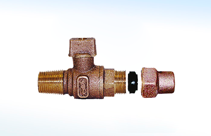 Válvula Insercion RUGO 81-EC